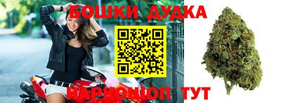 шишки Бузулук