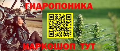 шишки Бузулук