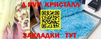 шишки Бузулук
