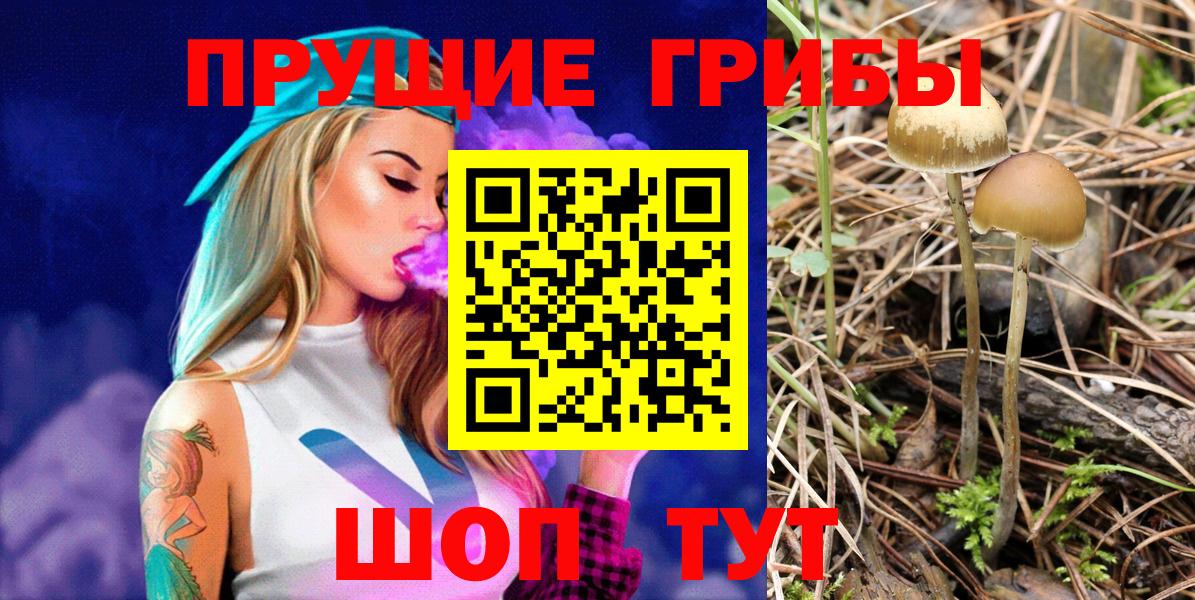 Псилоцибиновые грибы мухоморы  Вход с VPN  Псилоцибиновые грибы мицелий  Рузаевка 